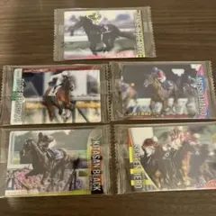 サラブレッドホースコレクション　第2R ウエハースカード　5枚