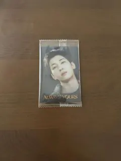 セブチ　ウエハースシール　ウォヌ