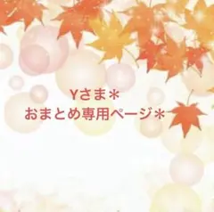 Y様 リクエスト 3点 まとめ商品