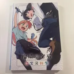 未開封】瑠璃の宝石 設定資料集 - メルカリ