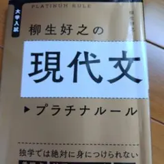 現代文　プラチナルール
