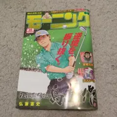 モーニングNo.46