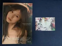 SKE48 菅原茉椰 直筆サイン入りチェキ 直筆サイン入り SKE48 菅原茉椰 2nd写真集 「Opportunity