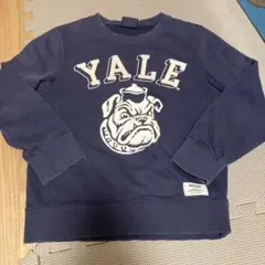 BAYFLOW Yale Bulldog トレーナー ネイビー