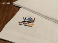 Item thumbnail for item 097a0895-55f0-4609-8d28-c83fba1e2e9a