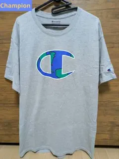 Champion Earth Logo T-Shirt Gray L