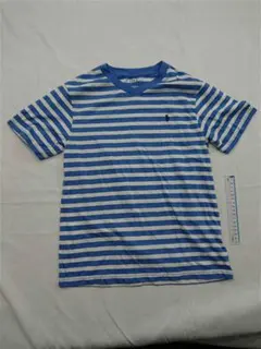 POLO RALPH LAUREN 青白ストライプ Tシャツ M