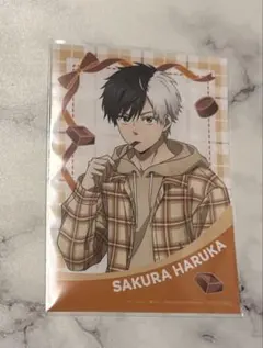 WINDBREAKER ウィンブレ 特典ブロマイド 桜遥 バレンタイン