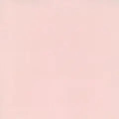 れん様専用ページ
