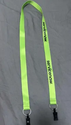 ServiceNow ストラップ 未使用