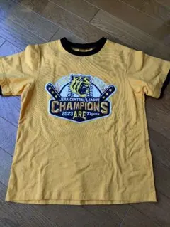 Item thumbnail for item ab5fc72b-c360-4c4f-9135-13ee99826a7a