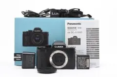 美品 PANASONIC LUMIX DC-G100 ボディ 2482 - メルカリ