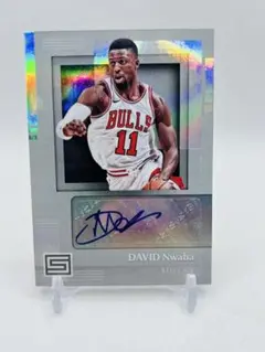 2017 Panini 直筆サイン 三遠 デイビッド・ヌワバ BULLS