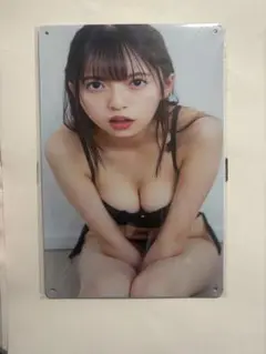 斉藤飛鳥　スチール製A4サイズ