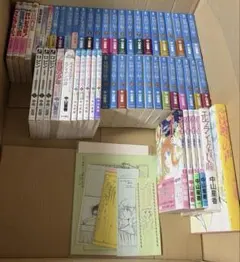 中山星香作品　妖精国の騎士 シリーズ他55冊セット ※おまけあり 中山星香作品 妖精国の騎士 シリーズ他55冊セット ※おまけあり - メルカリ