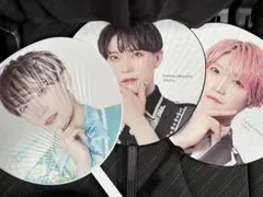 2025年最新】パンダドラゴンの人気アイテム - メルカリ