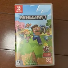 Minecraft Nintendo Switch