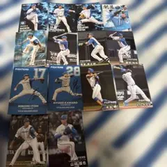 北海道日本ハムファイターズ カルビー野球チップスカードセット