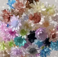 No.157 スターフラワーブロッサム　50本　カラフル　カラー　カラフル