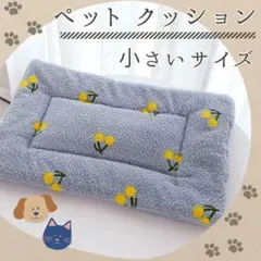 Item thumbnail for item 6f170a71-a99c-4fcc-86e0-94cc6363c0b3