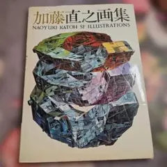 さ*く様 QUINAULT Yoshihiko UEDA 写真集 - メルカリ