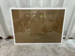 IKEA 額縁 ホワイト 50×70