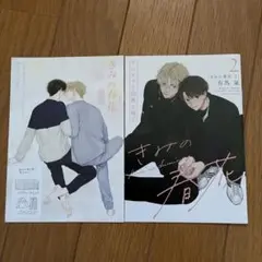 きみの春花　小冊子のみ　有馬嵐　アニメイト　とらのあな