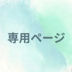 しーちゃん様　専用