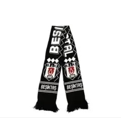 Item thumbnail for item 25711d4b-1b00-40c1-a202-fd75a7178e62