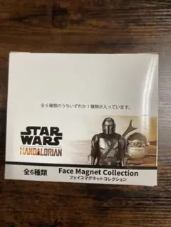 STAR WARS マンダロリアン グローグー フェイスマグネット コンプ