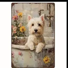 よっちゃん様 リクエスト 2点 まとめ商品