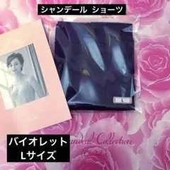 シャンデール 補正下着 ショーツ バイオレット Lサイズのサムネイル
