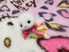 シルバニアファミリー キラキラくじ アザラシ