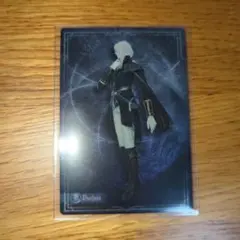 ナイトレイン レディ