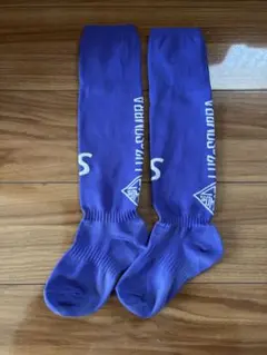 ルースイソンブラ　靴下　19-21 紫