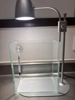 小型水槽 LEDライト 温度計 セット
