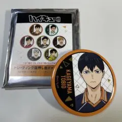 ハイキュー!! 箔押し缶バッジ B