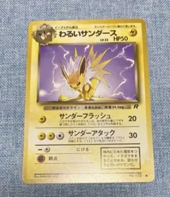 MEME様専用　わるいサンダース　わるいハクリュウ　2枚まとめ売り