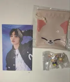 straykids アイエン フォクシニー まとめ売り