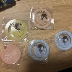 ゆらゆらアクリルチャーム　スイステ 5点セット
