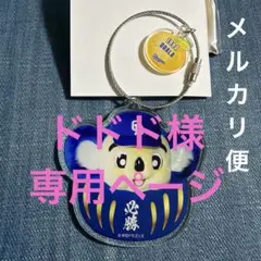 【ドドド様専用】中日ドラゴンズ　ドアラ　BIGFACE だるま　アクリルチャーム