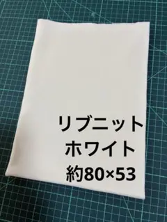 リブニット生地 ホワイト 無地 約80×53