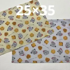 Item thumbnail for item a7a1f896-3635-4272-87e1-b97e8ccec582