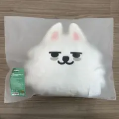 2026年最新】txt プルバトゥ ヨンモンの人気アイテム - メルカリ