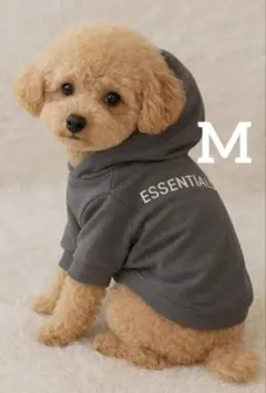 新品 Mサイズ　犬服 パーカー フード付き 小型犬 おしゃれ 韓国風のサムネイル