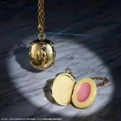 ジョジョの奇妙な冒険 ストーンオーシャン 1番コフレB賞