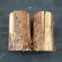 잘린 삼나무 통나무 4개로 쪼개진 스웨덴 횃불 2개