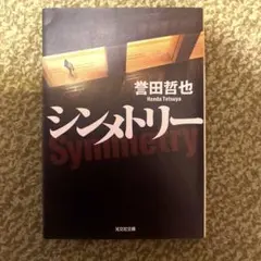 シンメトリー