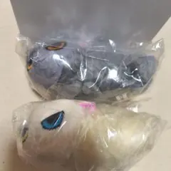 なつかない猫　懐かない猫