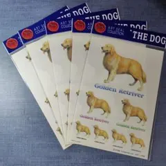 レトロ Golden Retriver ステッカー 5枚 ゴールデンレトリバー